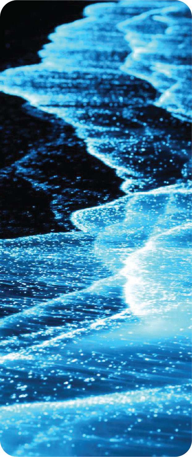 Bioluminescence water